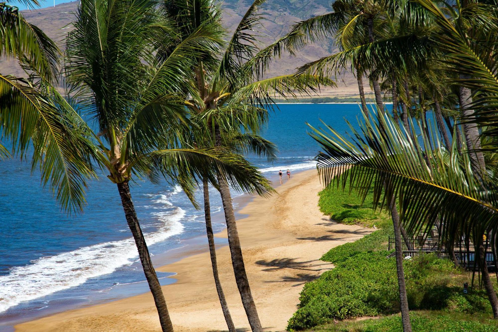 Nani Kai Hale Apartment Kihei Ruang foto