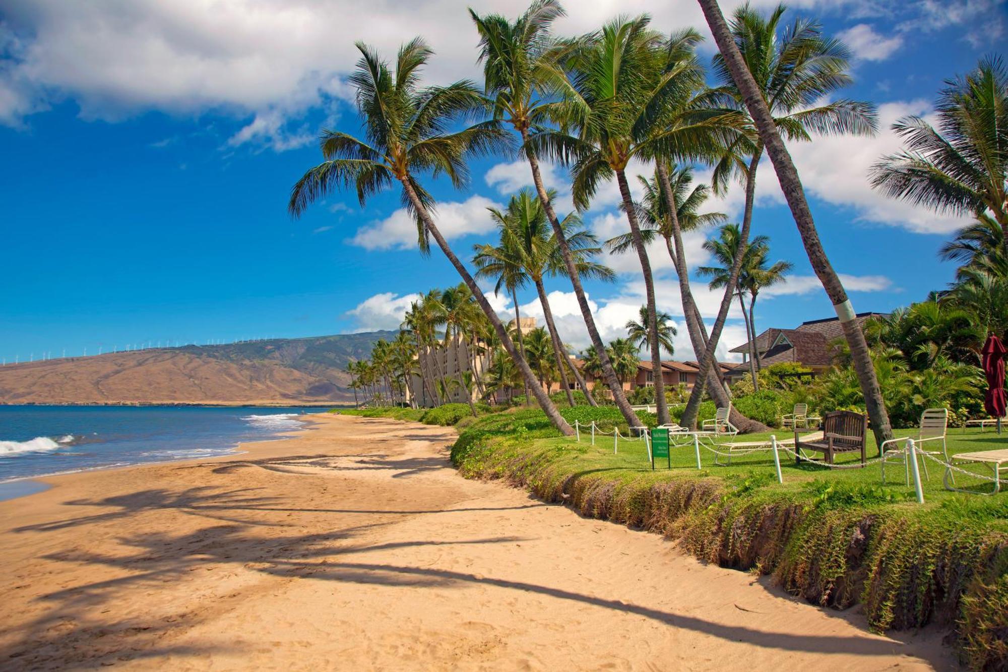 Nani Kai Hale Apartment Kihei Ruang foto
